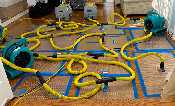 Professional Burst Pipe Water Damage technician working in Madison, OH